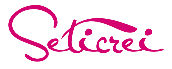 Seticrei logo